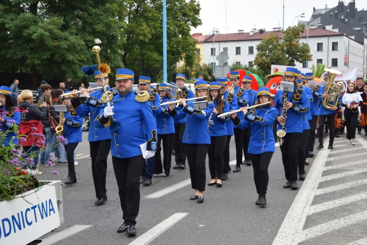 45. Skierniewickie Święto Kwiatów, Owoców i Warzyw. Parada