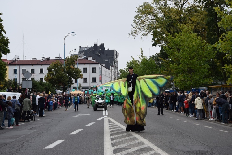 45. Skierniewickie Święto Kwiatów, Owoców i Warzyw. Parada