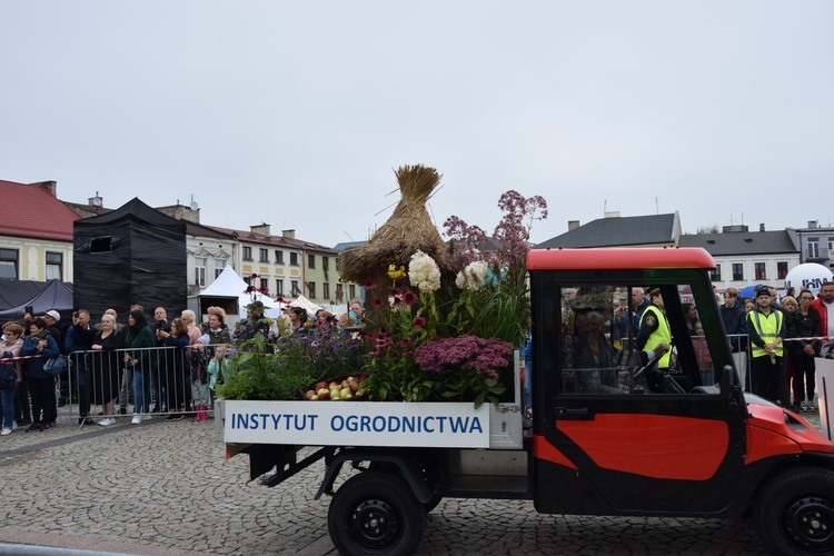 45. Skierniewickie Święto Kwiatów, Owoców i Warzyw. Parada