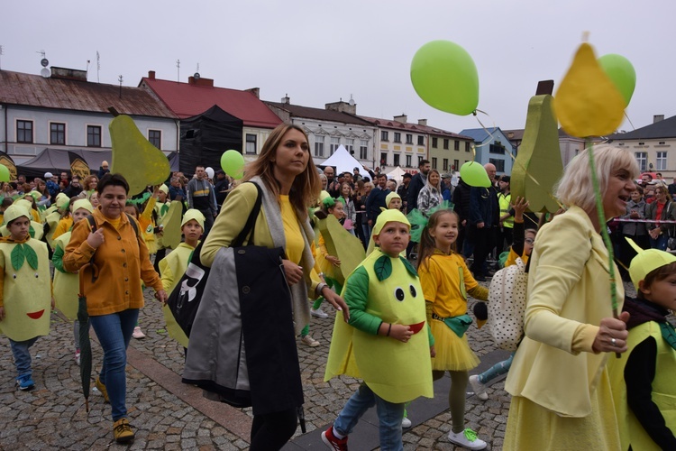 45. Skierniewickie Święto Kwiatów, Owoców i Warzyw. Parada