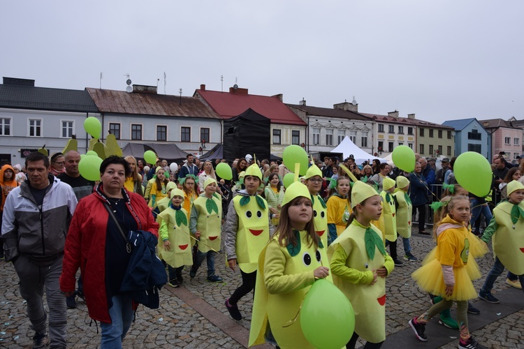 45. Skierniewickie Święto Kwiatów, Owoców i Warzyw. Parada