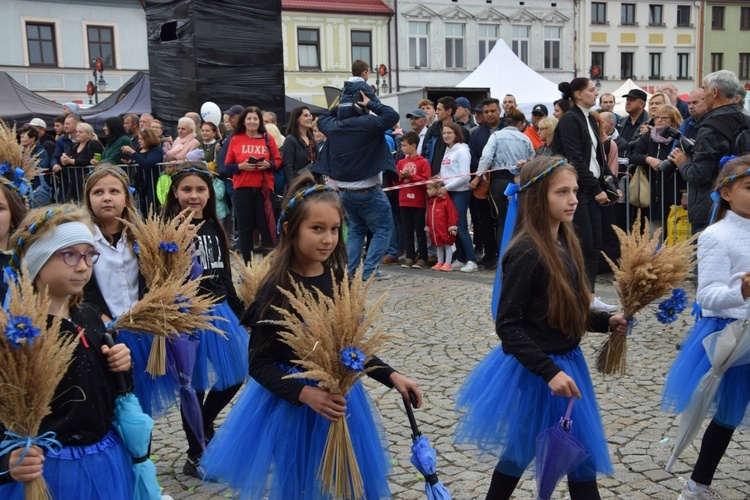 45. Skierniewickie Święto Kwiatów, Owoców i Warzyw. Parada