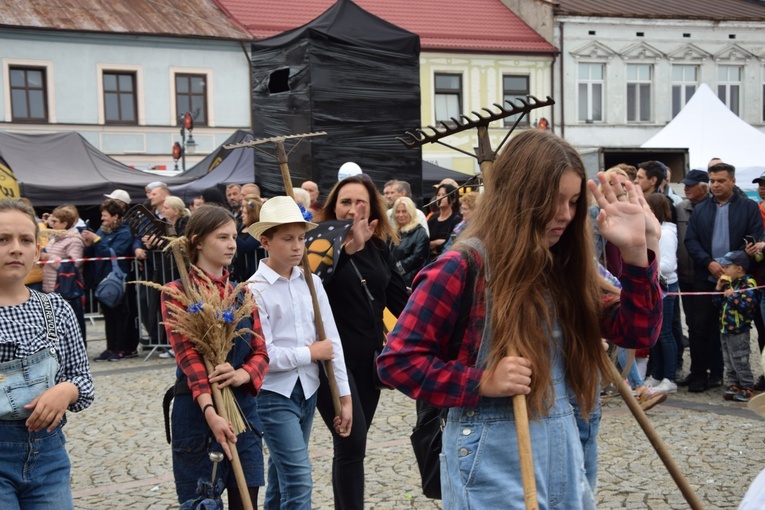 45. Skierniewickie Święto Kwiatów, Owoców i Warzyw. Parada