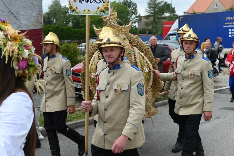 Udanin. Dolny Śląsk podziękował za plony