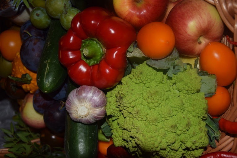 45. Skierniewickie Święto Kwiatów, Owoców i Warzyw. Msza św. 