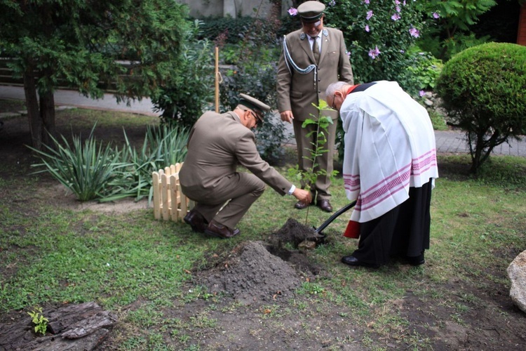 Zasadzenie dębu papieskiego w ogrodzie biskupim