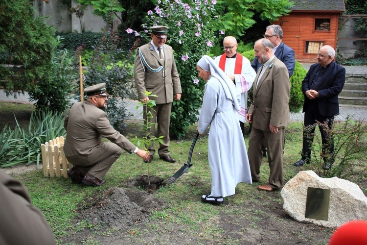 Zasadzenie dębu papieskiego w ogrodzie biskupim