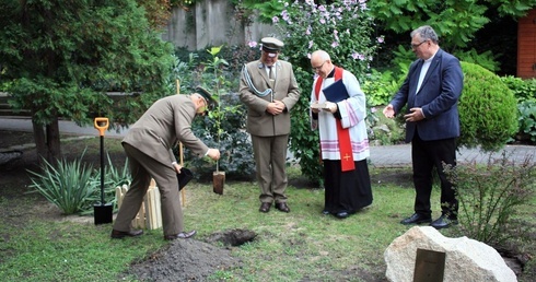 Zasadzenie dębu papieskiego w ogrodzie biskupim
