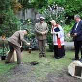 Zasadzenie dębu papieskiego w ogrodzie biskupim