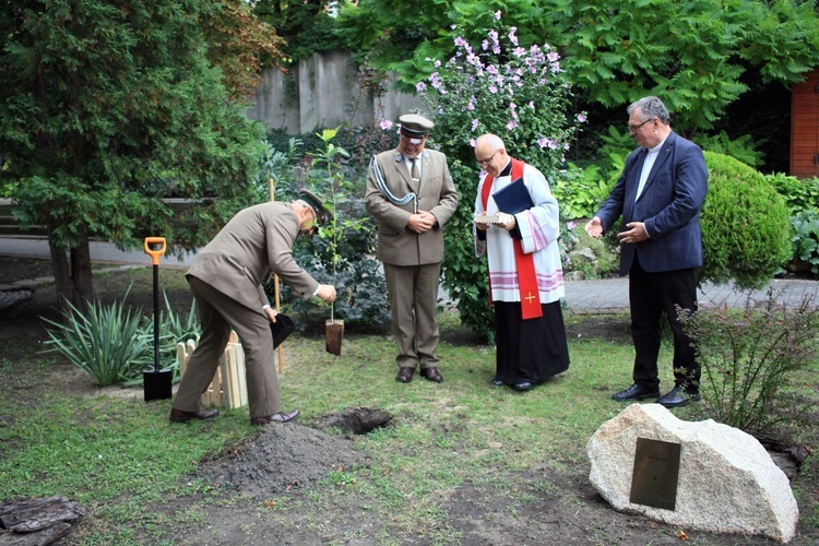 Zasadzenie dębu papieskiego w ogrodzie biskupim