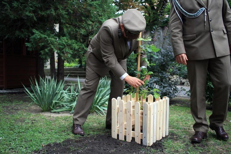 Zasadzenie dębu papieskiego w ogrodzie biskupim