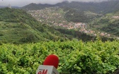 Radio eM na Maderze