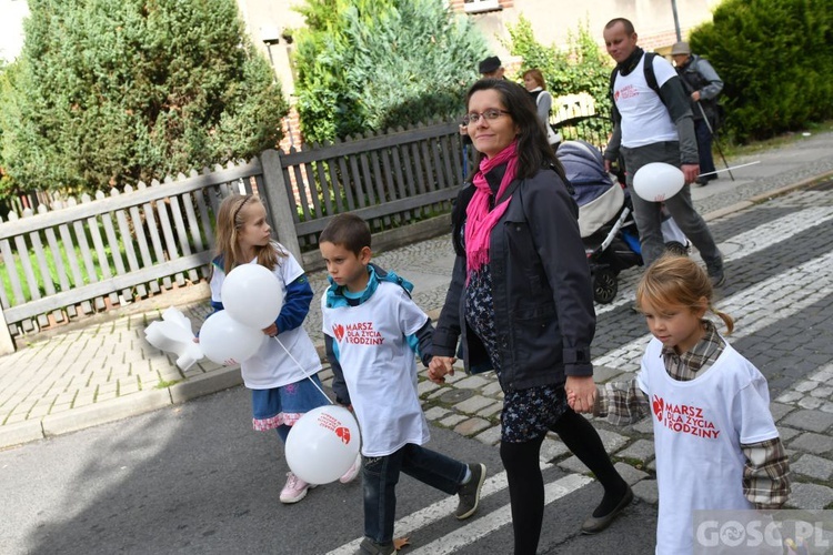 III Marsz dla Życia i Rodziny w Żarach