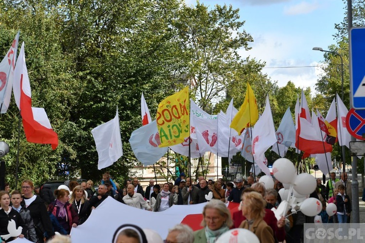 III Marsz dla Życia i Rodziny w Żarach