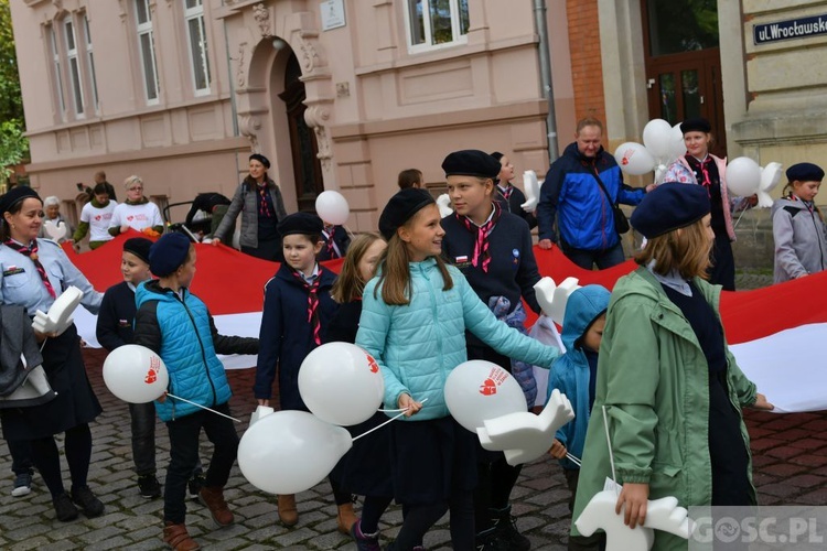 III Marsz dla Życia i Rodziny w Żarach