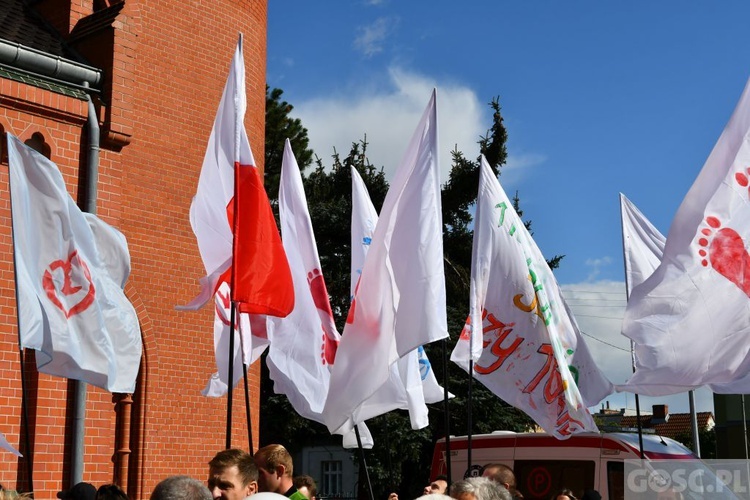 III Marsz dla Życia i Rodziny w Żarach