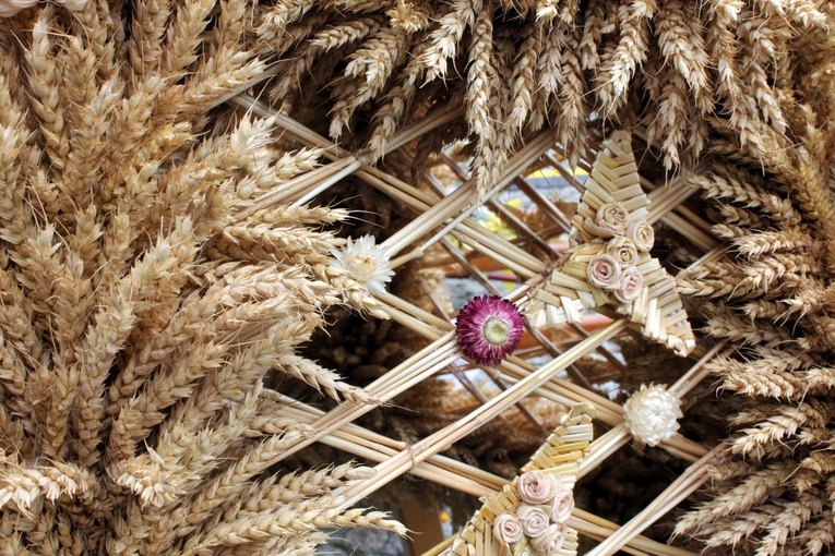 Dożynki diecezjalne w Rudach