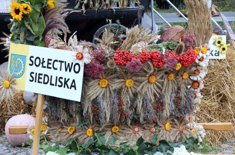 Dożynki diecezjalne w Rudach