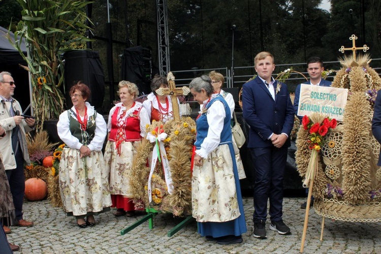 Dożynki diecezjalne w Rudach