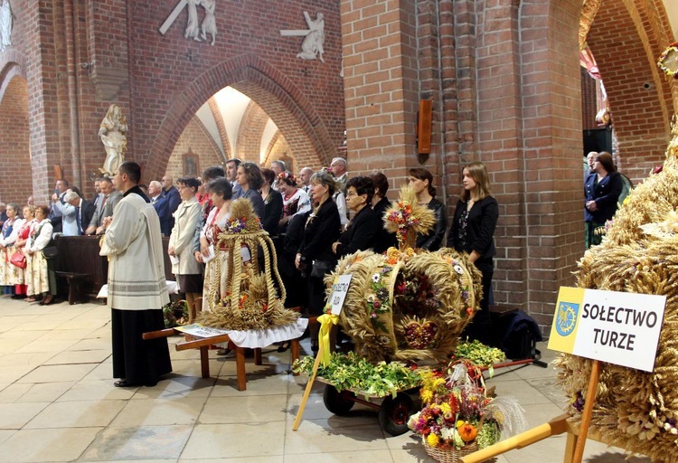 Dożynki diecezjalne w Rudach