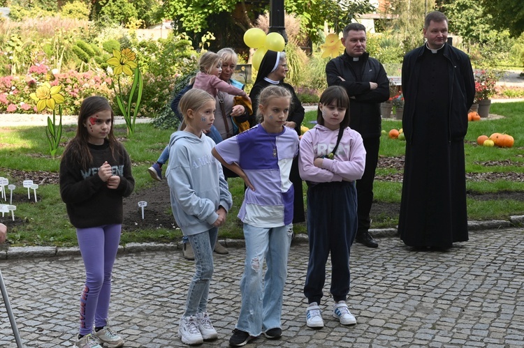 Sadzenie żonkili w dzierżoniowskim ZOL-u