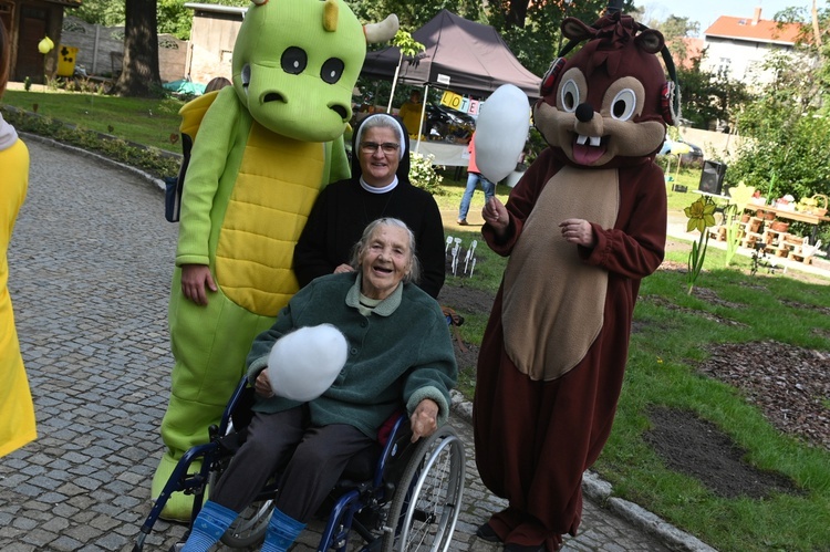 Sadzenie żonkili w dzierżoniowskim ZOL-u