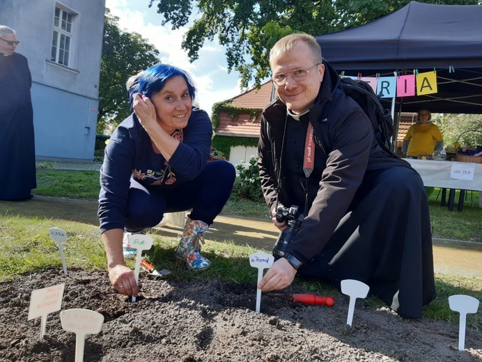 Sadzenie żonkili w dzierżoniowskim ZOL-u