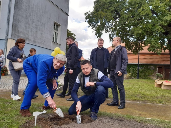 Sadzenie żonkili w dzierżoniowskim ZOL-u