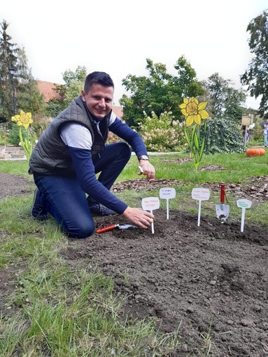 Sadzenie żonkili w dzierżoniowskim ZOL-u