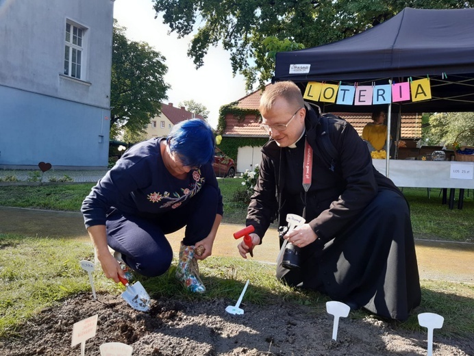 Sadzenie żonkili w dzierżoniowskim ZOL-u