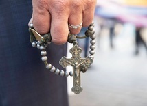 ▲	Tegoroczna trasa liczy prawie 23 km.