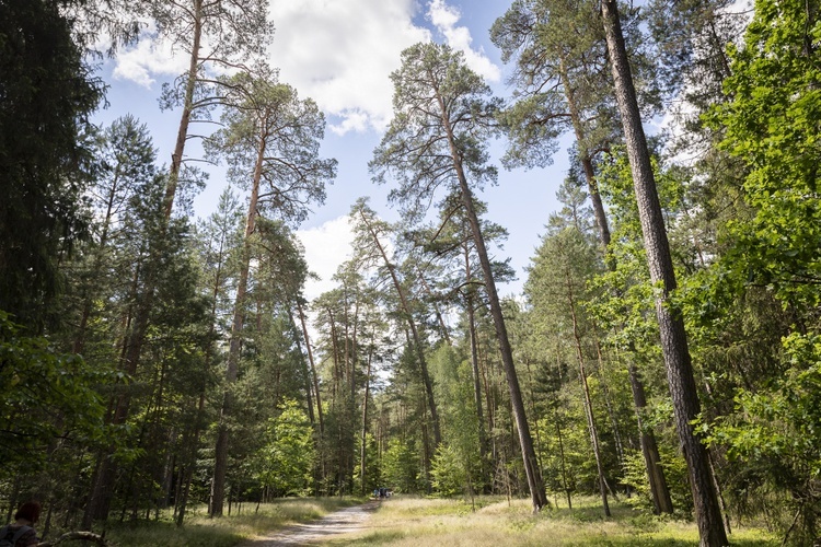 Roztoczański Park Narodowy