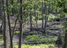 Roztoczański Park Narodowy