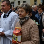 Pielgrzymka Żywego Różańca i Apostolstwa "Margaretka" do Rokitna