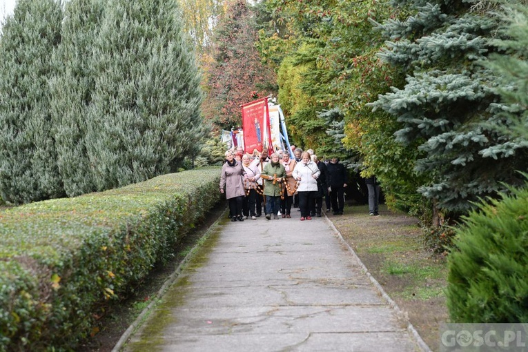 Pielgrzymka Żywego Różańca i Apostolstwa "Margaretka" do Rokitna