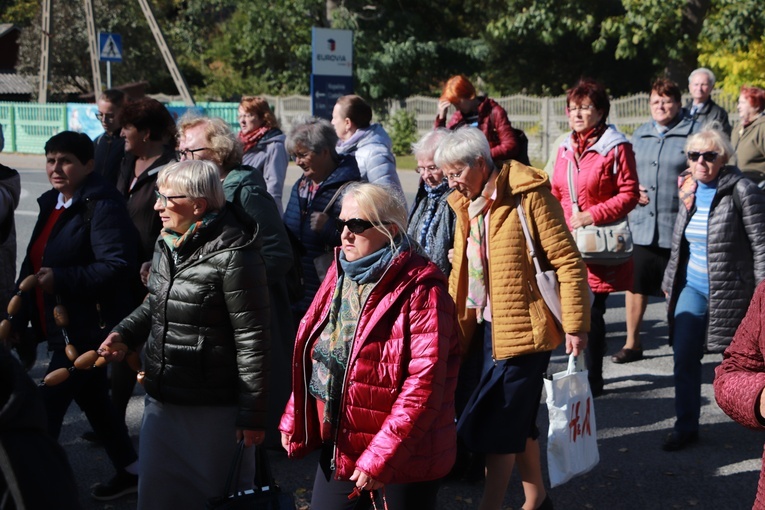 Domaniewice. Diecezjalna Pielgrzymka Kół Żywego Różańca