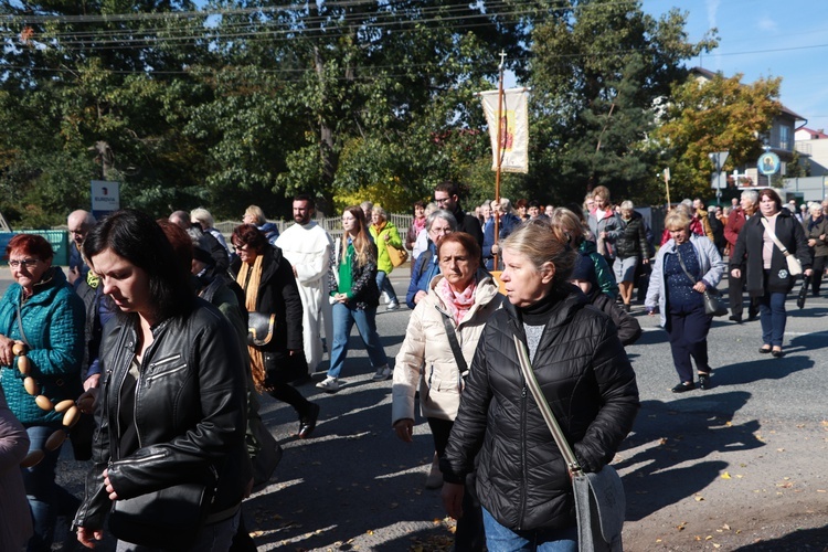 Domaniewice. Diecezjalna Pielgrzymka Kół Żywego Różańca