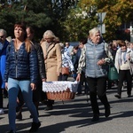 Domaniewice. Diecezjalna Pielgrzymka Kół Żywego Różańca