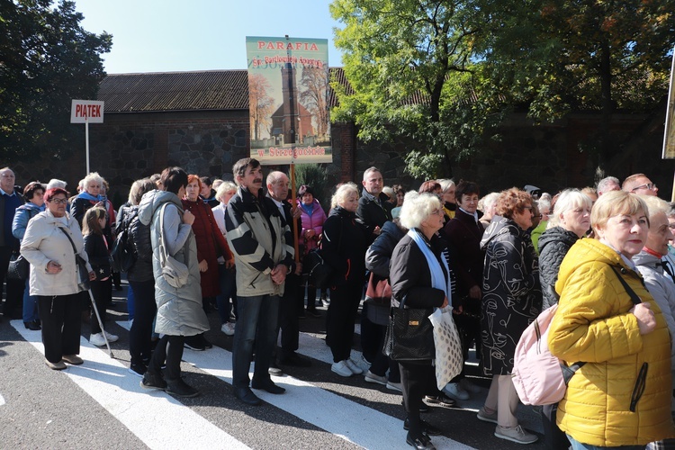 Domaniewice. Diecezjalna Pielgrzymka Kół Żywego Różańca