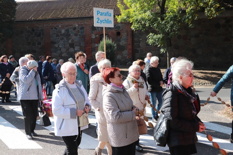 Domaniewice. Diecezjalna Pielgrzymka Kół Żywego Różańca