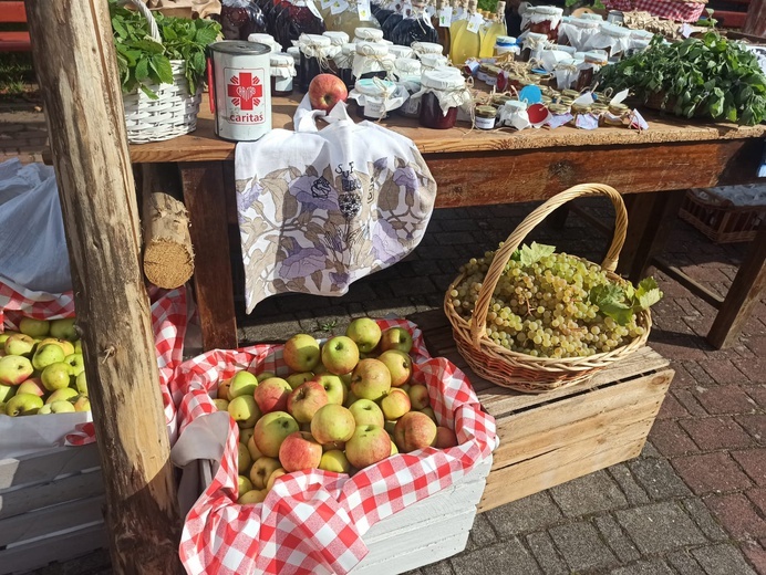 Grodowiec. Dzień skupienia dla Parafialnych Zespołów Caritas