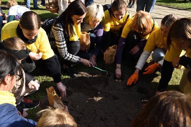 Inauguracja akcji 7 hospicjów w Gdańsku