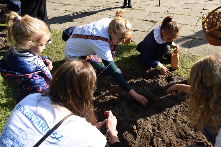 Inauguracja akcji 7 hospicjów w Gdańsku