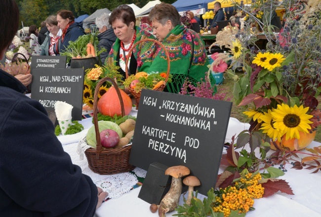 Festiwal Ziemniaka w Muzeum Wsi Radomskiej