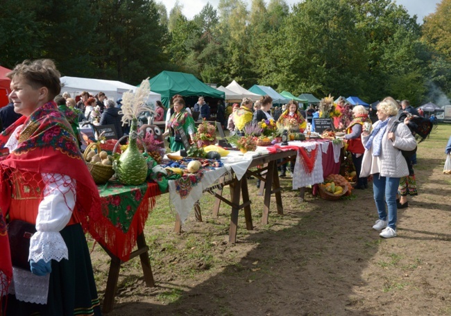 Festiwal Ziemniaka w Muzeum Wsi Radomskiej