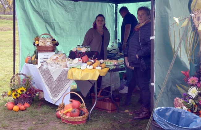 Festiwal Ziemniaka w Muzeum Wsi Radomskiej