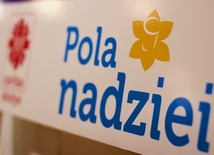 Pola Nadziei