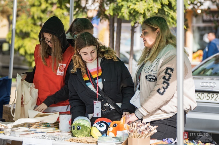 Strzelce Krajeńskie. Piknik Rodzinny "U Franka"