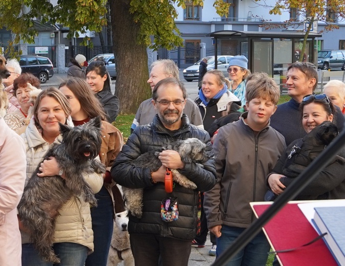 Błogosławieństwo zwierząt w dzień św. Franciszka z Asyżu