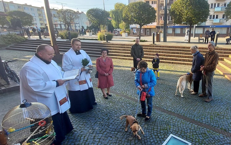 Błogosławieństwo zwierząt przy katedrze